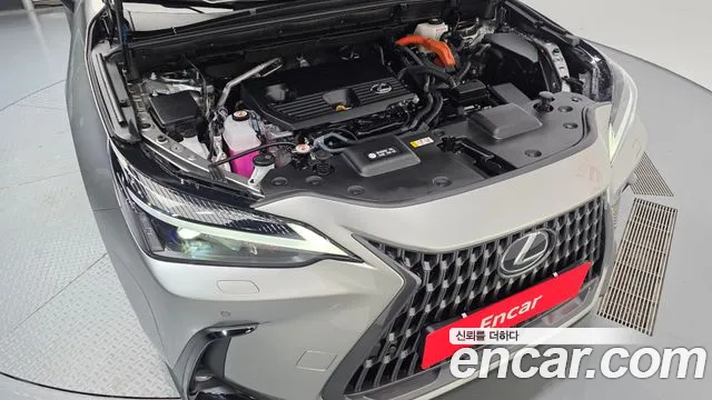 Lexus NX 2024 thumb 6