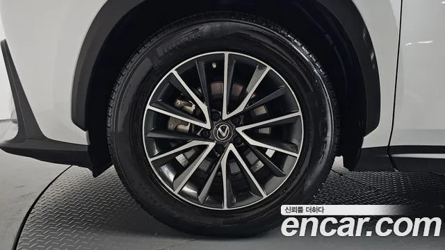 Lexus NX 2022 thumb 5