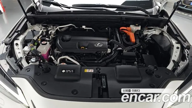 Lexus NX 2022 thumb 6