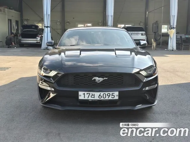 Ford Mustang Mach-E 2019 thumb 2