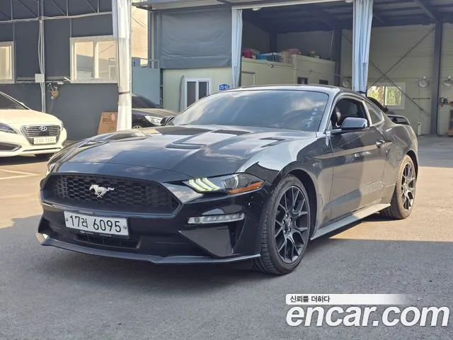 Ford Mustang Mach-E 2019 thumb 11