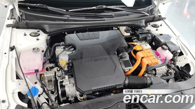 Hyundai Avante 2024 thumb 6