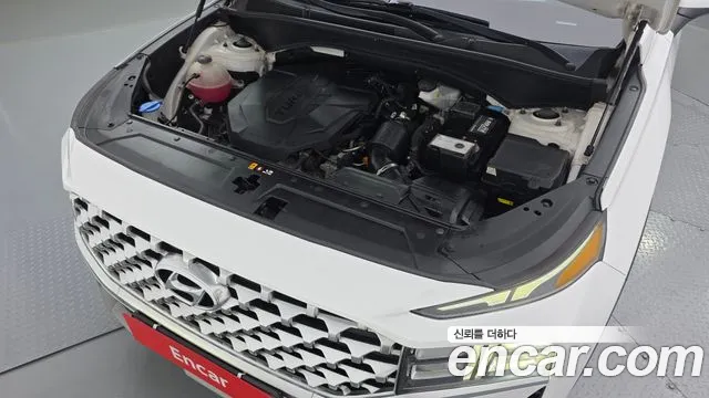 Hyundai Santa Fe 2020 thumb 6