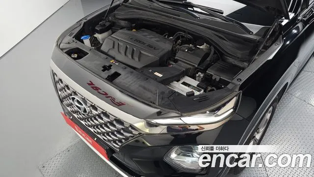 Hyundai Santa Fe 2019 thumb 6