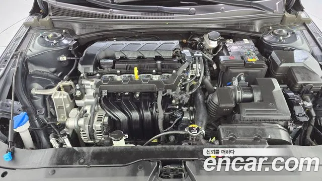 Hyundai Avante 2025 thumb 6