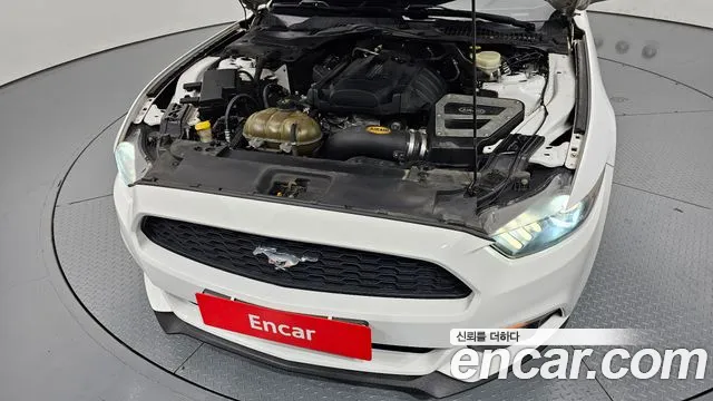 Ford Mustang Mach-E 2016 thumb 6