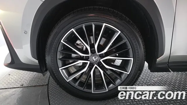 Lexus NX 2025 thumb 5