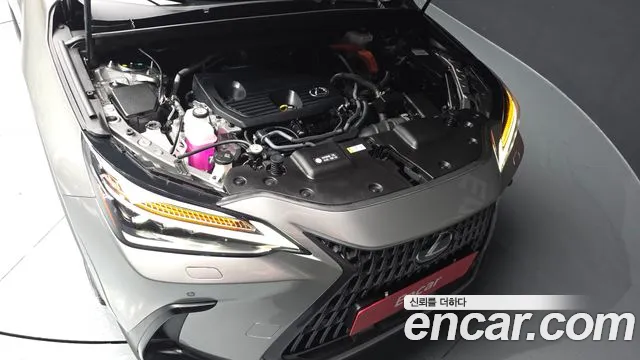 Lexus NX 2025 thumb 6