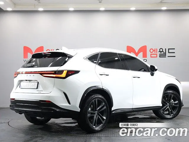 Lexus NX 2026 thumb 2