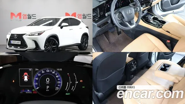 Lexus NX 2026 thumb 12