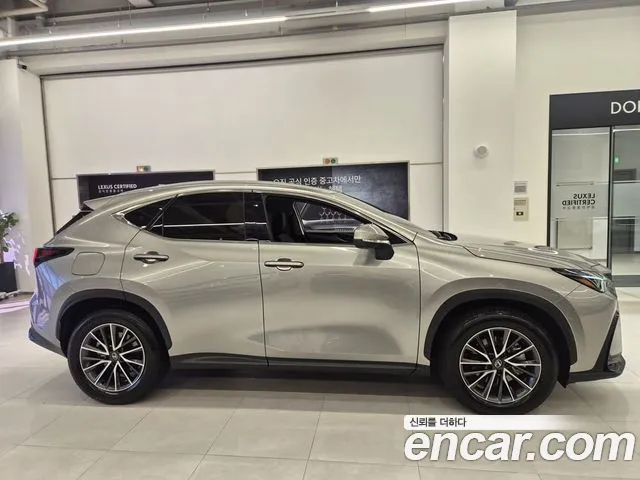 Lexus NX 2025 thumb 5