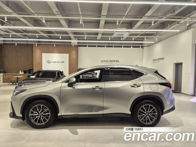 Lexus NX 2025 thumb 6