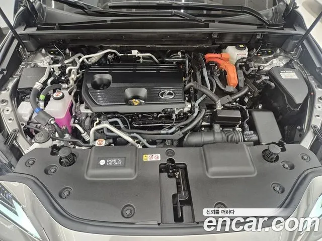 Lexus NX 2025 thumb 9