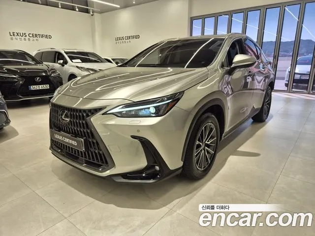 Lexus NX 2025 thumb 12