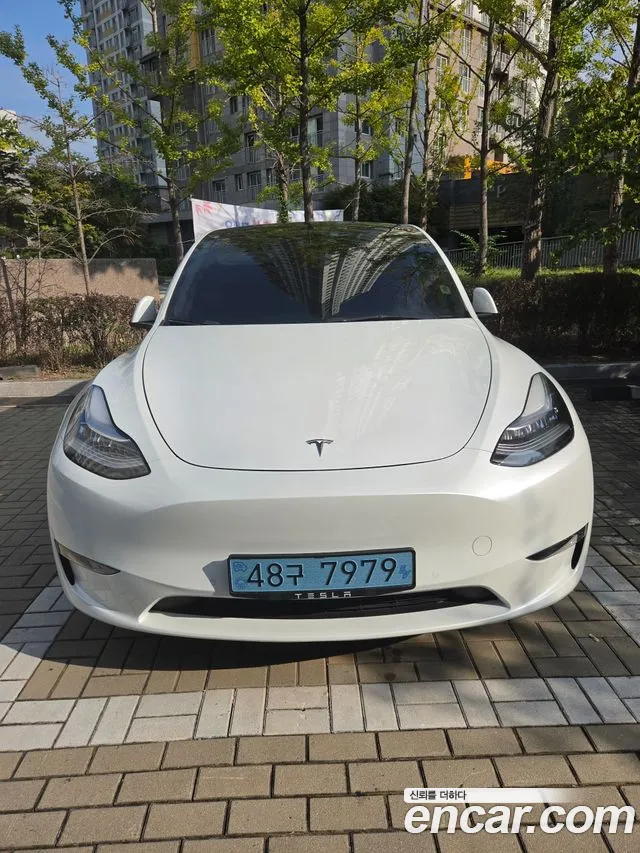 Tesla Model Y 2021 thumb 8