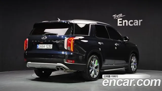 Hyundai Palisade 2019 thumb 2