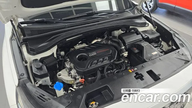 Hyundai Santa Fe 2019 thumb 6