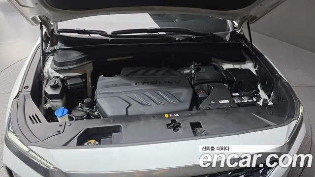 Hyundai Santa Fe 2019 thumb 6