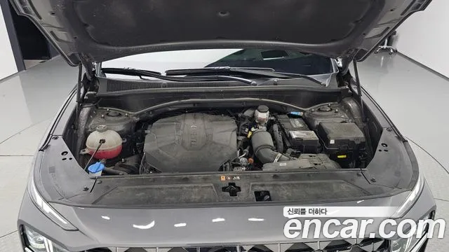 Hyundai Santa Fe 2021 thumb 6