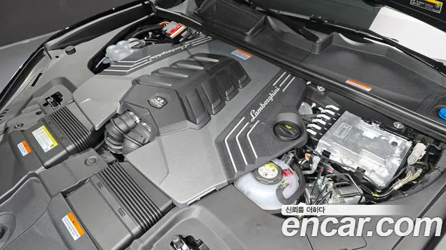 Lamborghini Urus 2026 thumb 6
