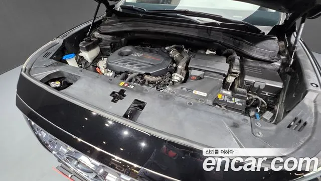 Hyundai Santa Fe 2019 thumb 6