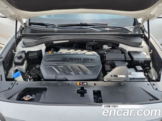 Hyundai Santa Fe 2019 thumb 10