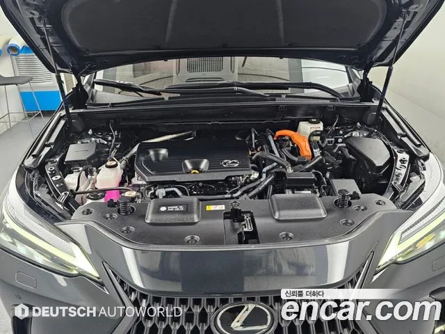 Lexus NX 2025 thumb 6