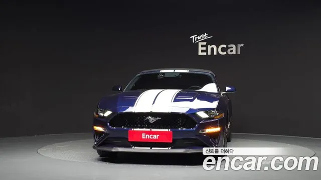 Ford Mustang Mach-E 2019 thumb 3