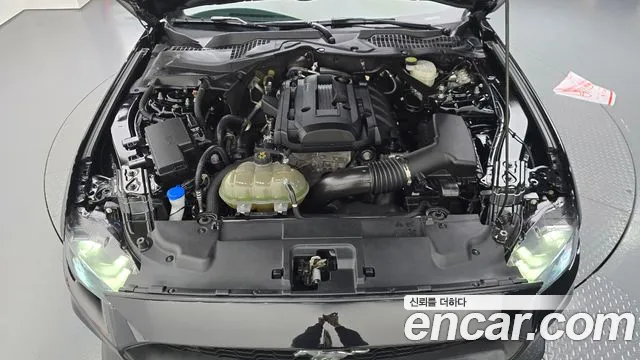 Ford Mustang Mach-E 2022 thumb 5