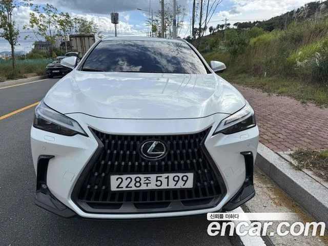 Lexus NX 2024 thumb 2