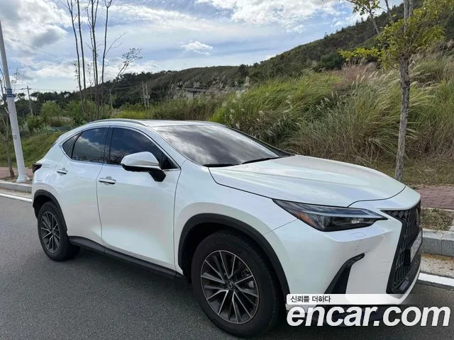 Lexus NX 2024 thumb 10