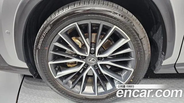 Lexus NX 2025 thumb 5