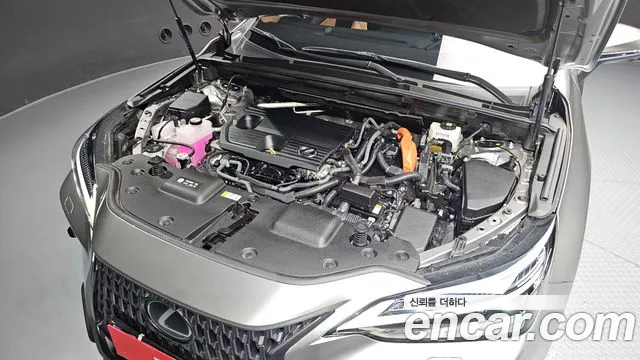 Lexus NX 2025 thumb 6