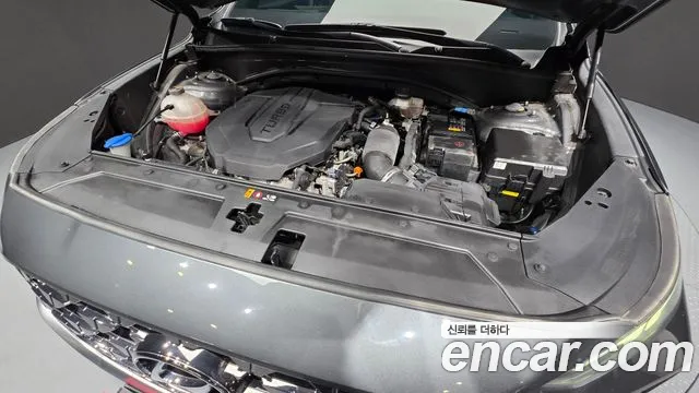 Hyundai Santa Fe 2020 thumb 6