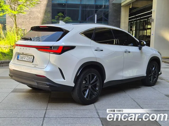 Lexus NX 2025 thumb 2