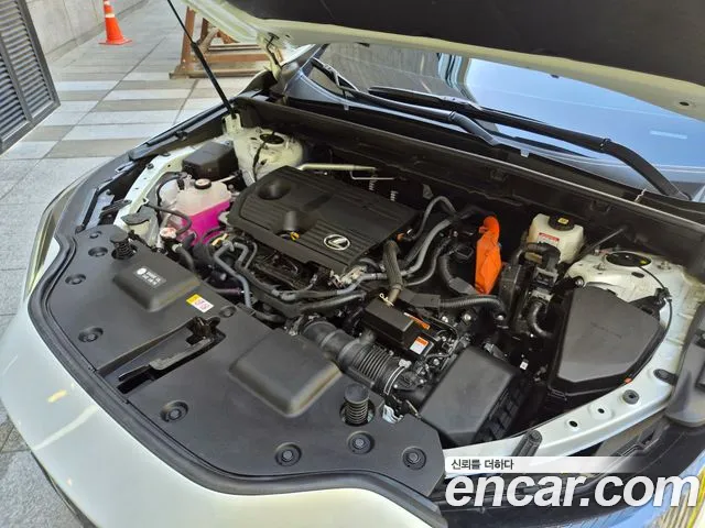 Lexus NX 2025 thumb 6