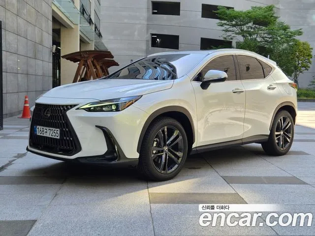 Lexus NX 2025 thumb 12