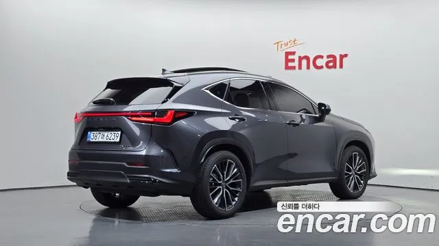 Lexus NX 2025 thumb 2