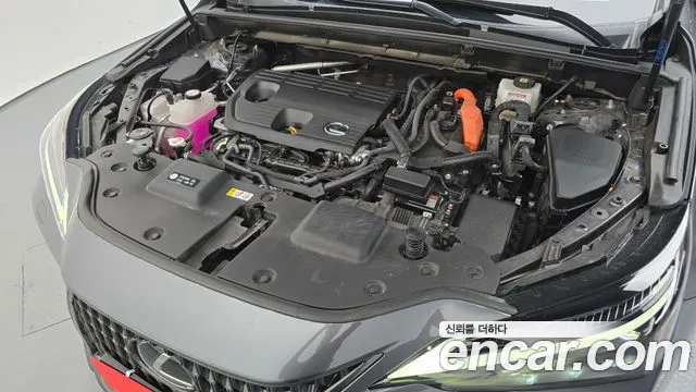 Lexus NX 2025 thumb 6