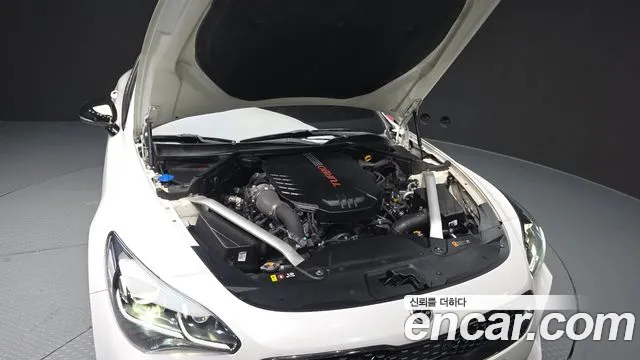 Kia Stinger 2019 thumb 6
