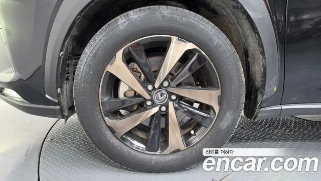 Lexus NX 2019 thumb 5