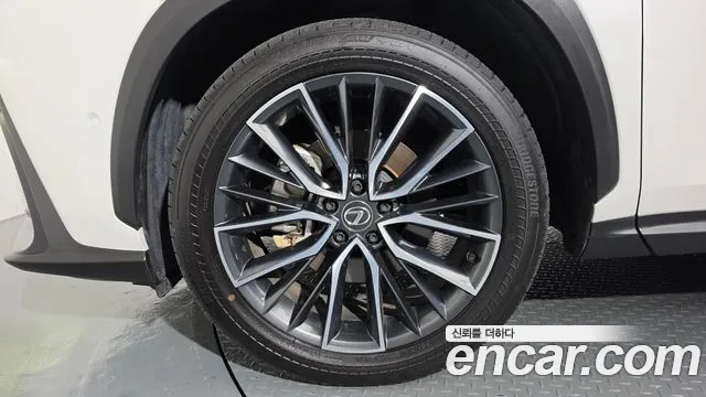 Lexus NX 2025 thumb 5