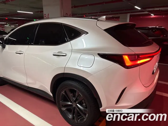 Lexus NX 2025 thumb 2