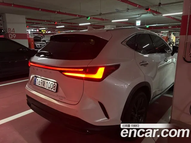 Lexus NX 2025 thumb 6