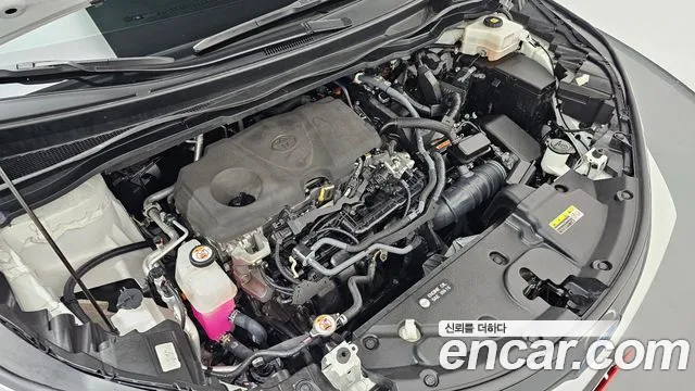 Toyota Sienna 2023 thumb 5