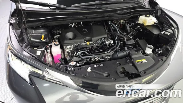Toyota Sienna 2025 thumb 6