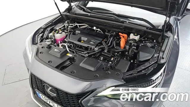 Lexus NX 2024 thumb 6