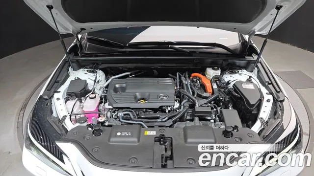 Lexus NX 2026 thumb 6