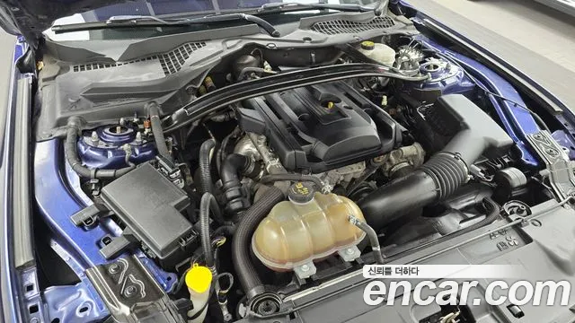 Ford Mustang Mach-E 2019 thumb 6
