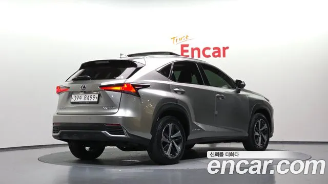 Lexus NX 2019 thumb 2